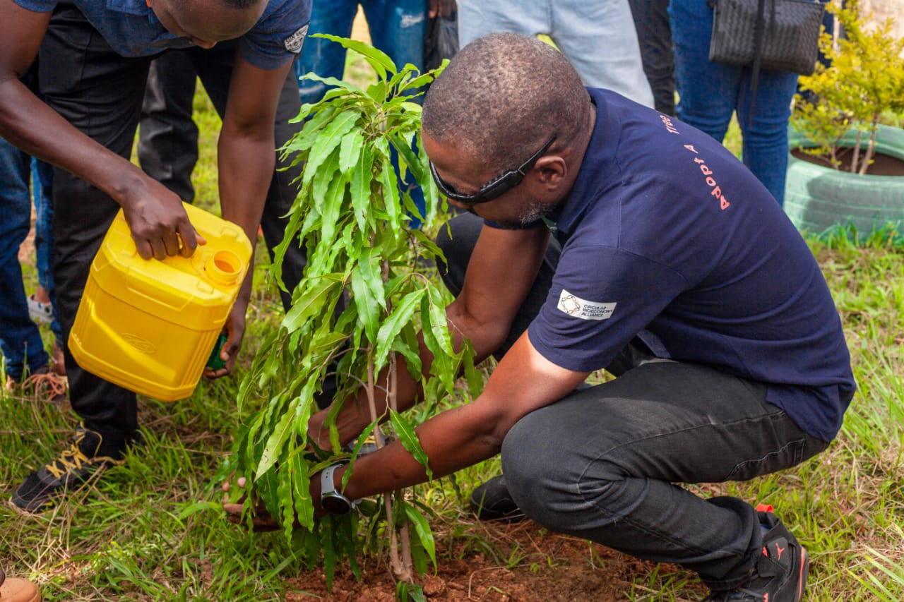 Climate Change: Green Sahara farms plants 386,000 trees in communities